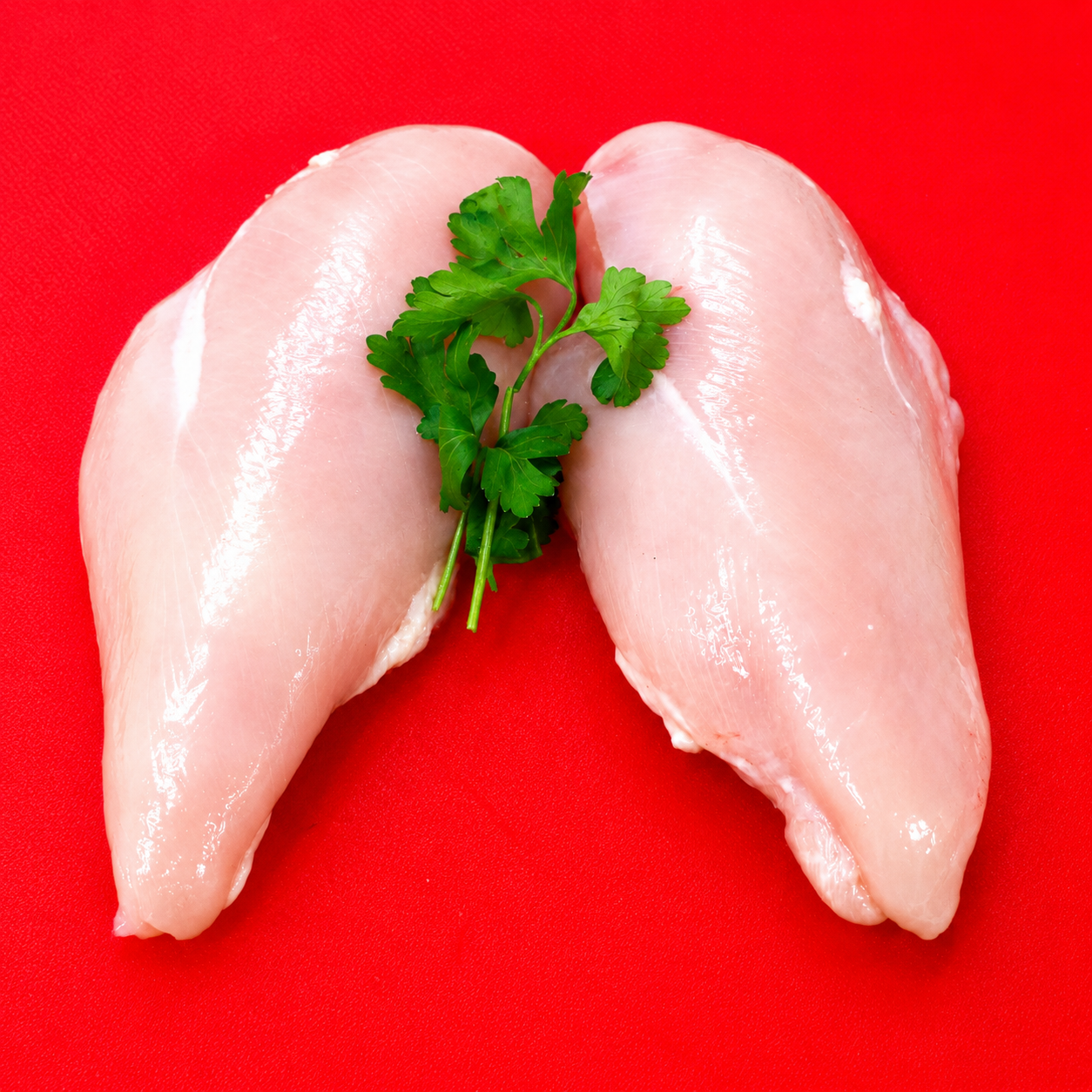 Chicken Breast Fillet