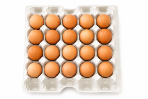 egg